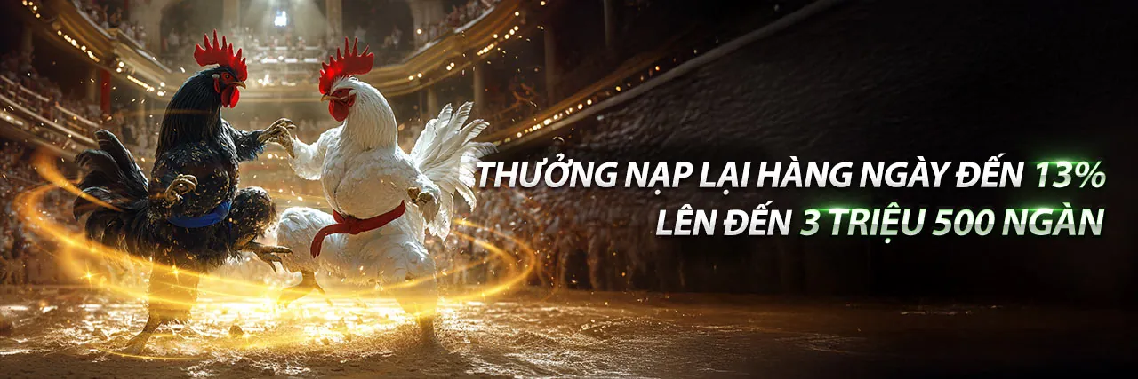 Đá Gà Trực Tuyến Hôm Nay Thomo